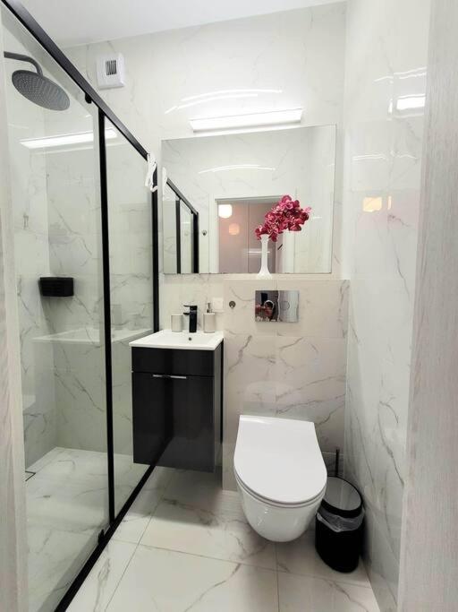 Apartment Sophie 3 Rooms, 2 Bathrooms, 8 Persons كراكوفيا المظهر الخارجي الصورة